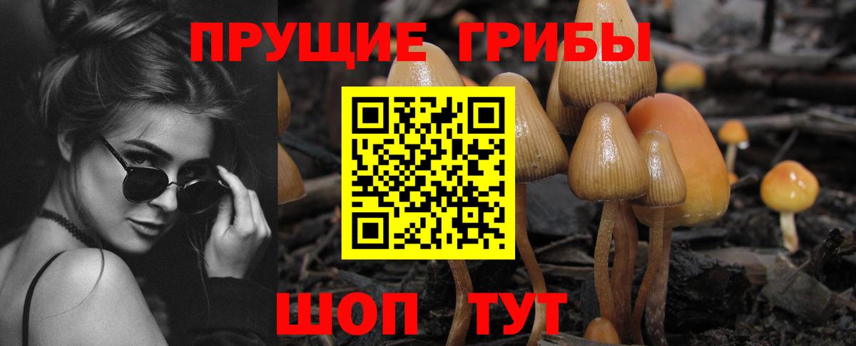 Псилоцибиновые грибы Magic Shrooms  Галлюциногенные грибы Psilocybine cubensis  Вход с VPN  Ижевск 